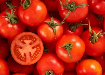 سقوط 100 درصدی قیمت گوجه فرنگی در بازار ، لیموترش میناب 7 تا 13 هزار تومان