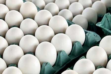 سازمان حمایت قیمت تخم مرغ بسته بندی را نظارت می کند