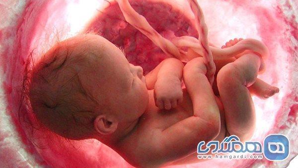 چهار نشانه علمی هنگام بارداری برای تشخیص جنسیت جنین