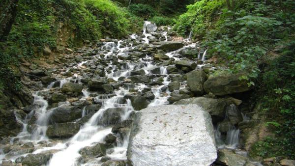 آبشار آب پری ، عروسی باوقار و پرنشاط در دل جنگل باشکوه رویان آبشار آب پری ، عروسی باوقار و پرنشاط در دل جنگل باشکوه رویان